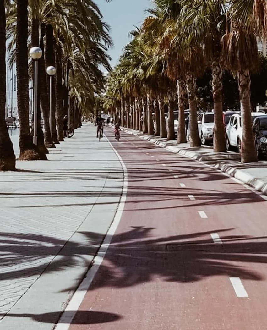 Palm-lined coastal road in Palma de Mallorca, Spain