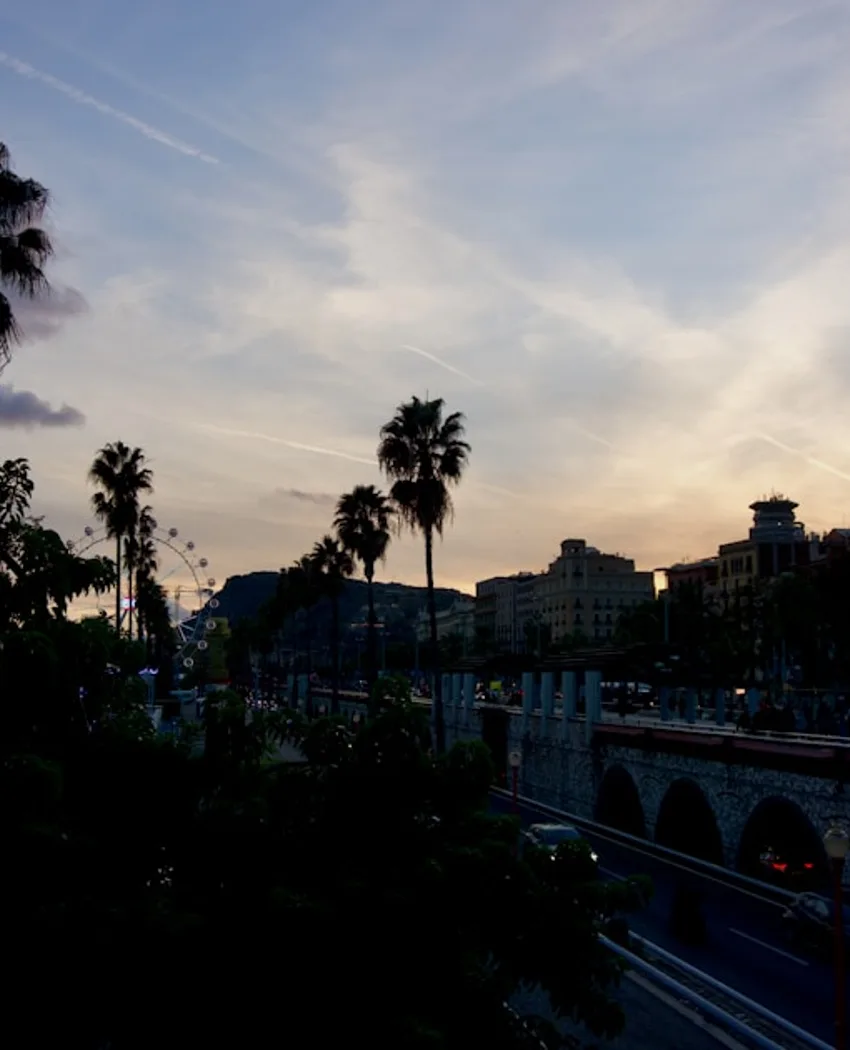 Sunset over a palm-lined Barcelona street